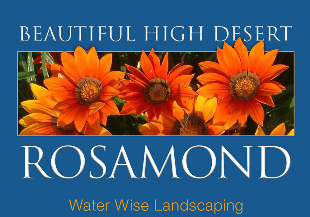 Opening Screen Water Conservation
