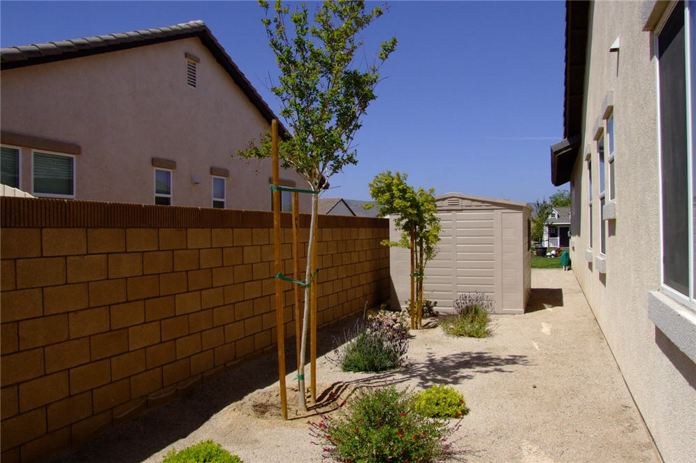 Side Yard Beauty