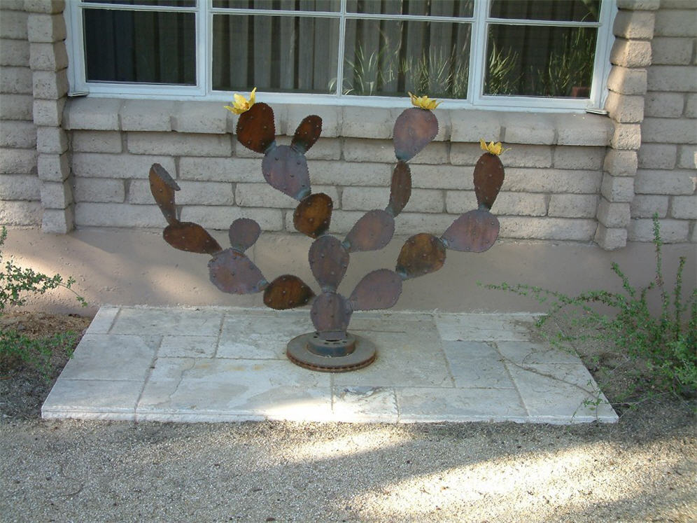 Cactus Decor