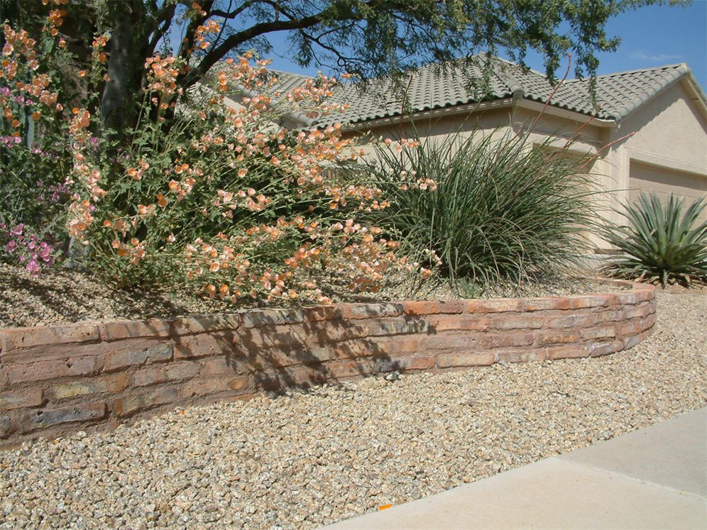 Raised Planter of Brick