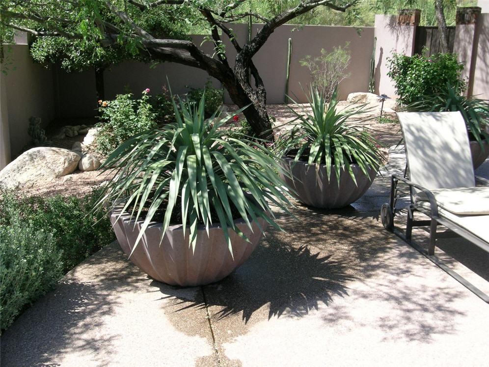 Cool Patio