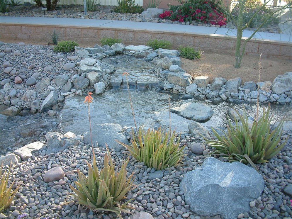 Aloe in the Midst of Rocks