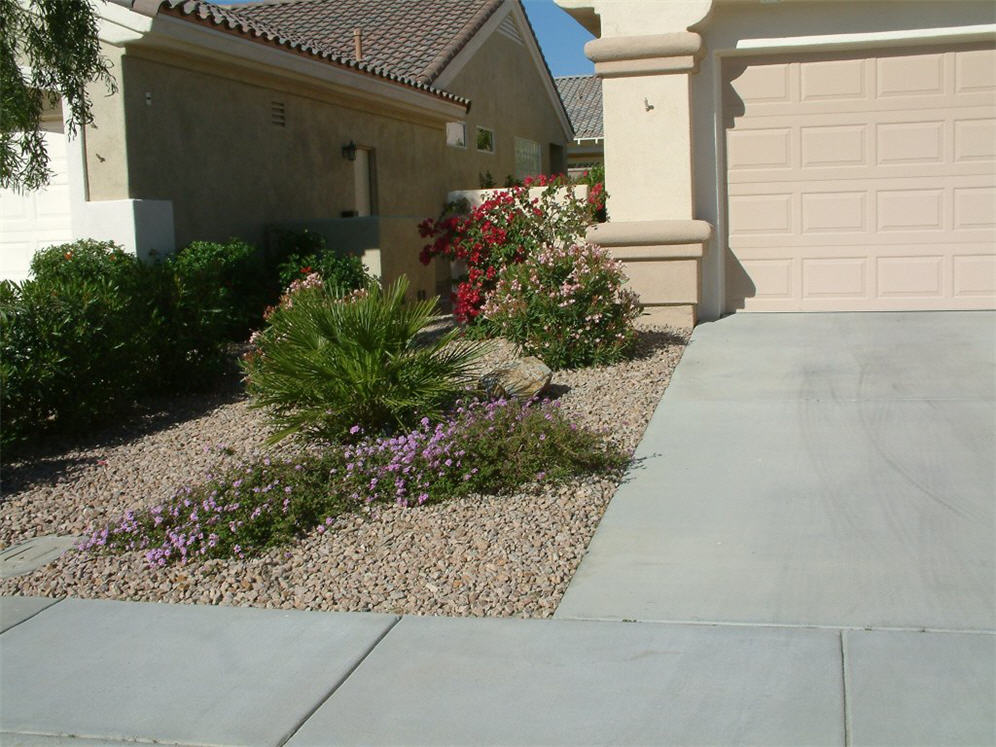 Driveway and Side Yard