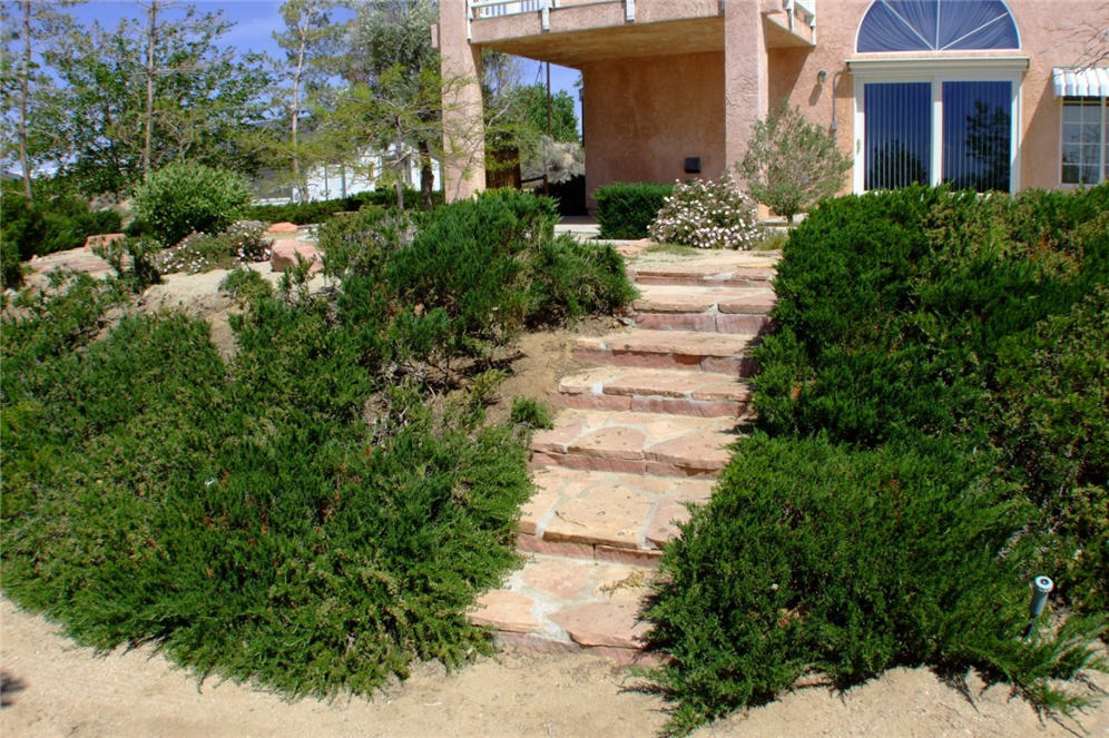 Paver Steps