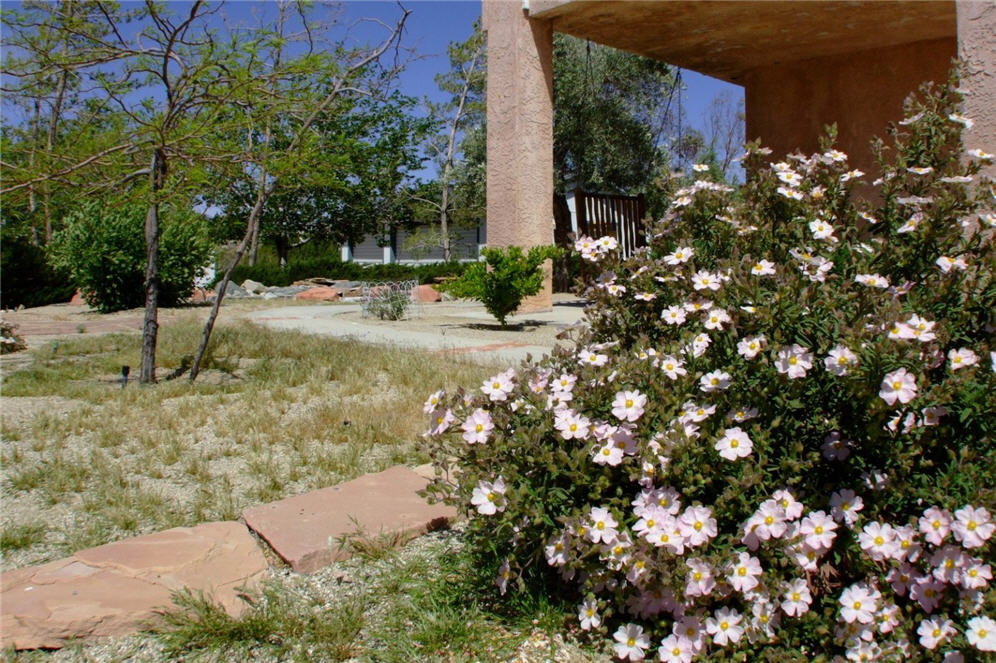 Mound of Flowers