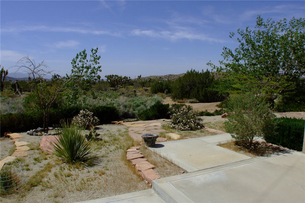 Desert Landscape