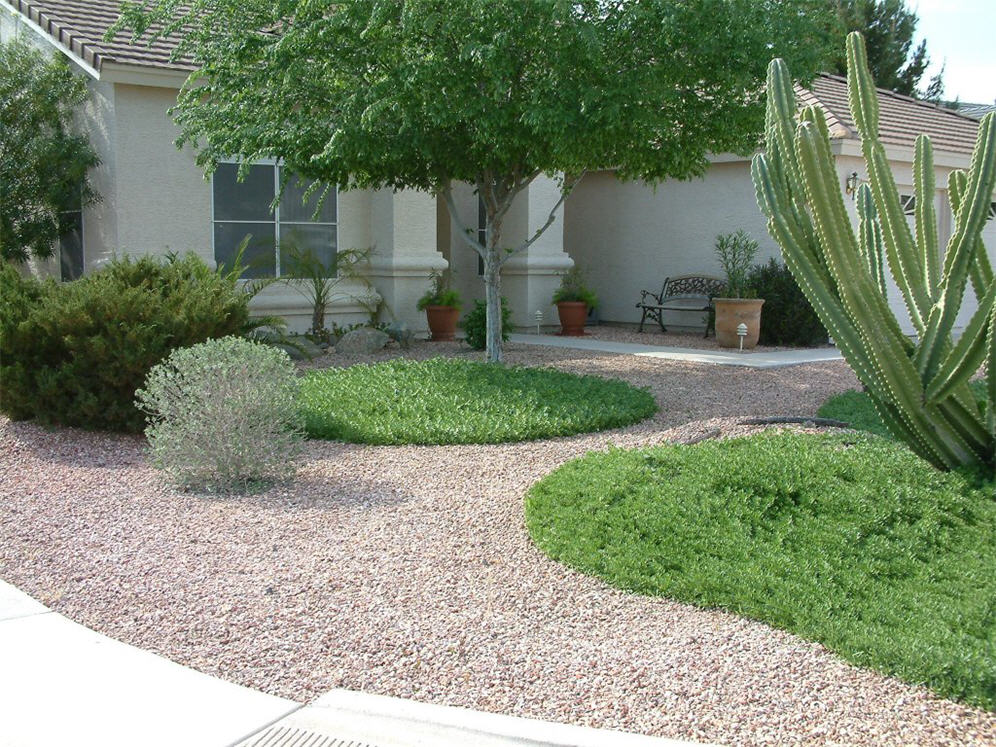 Round Mound of Green