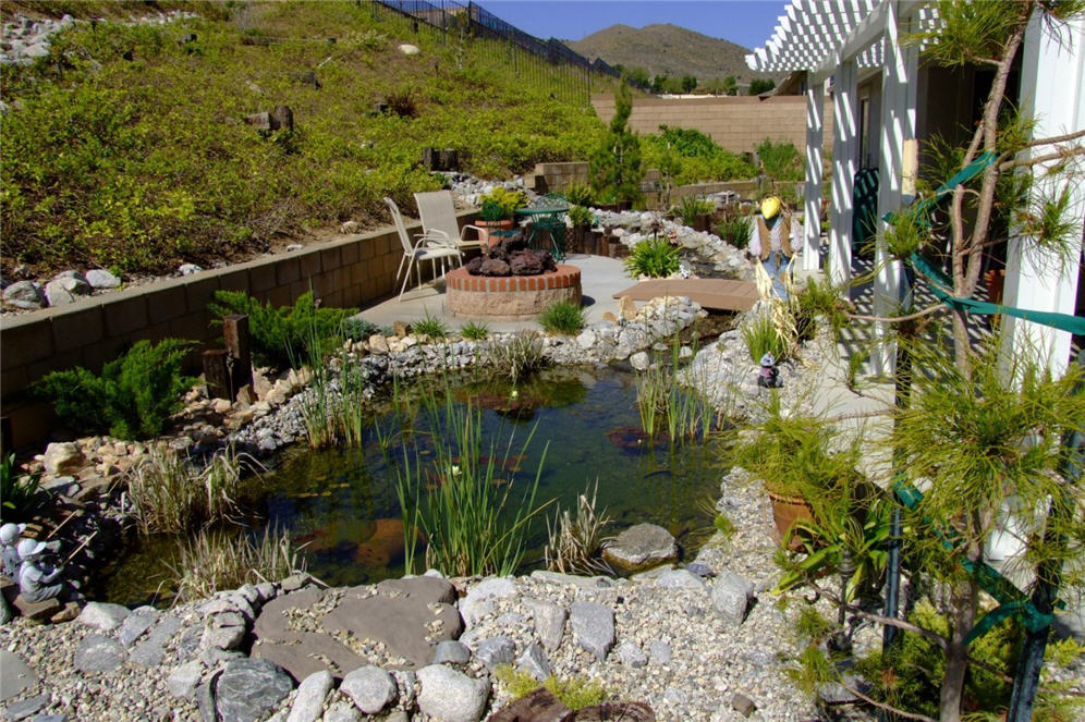 Pond in Backyard