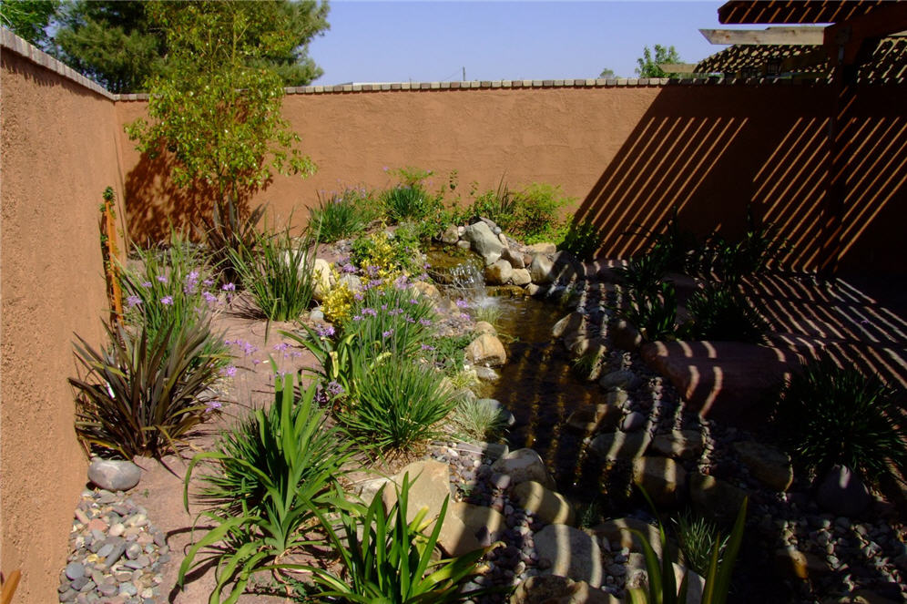 Patio Shadows the Garden