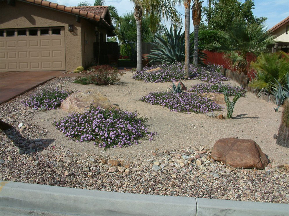 Pockets of Lavendar