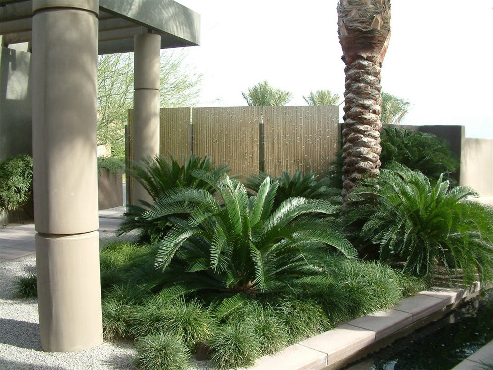 Palms Beneath the Columns