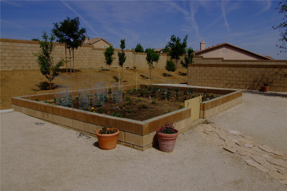 Fresh Veggie Garden