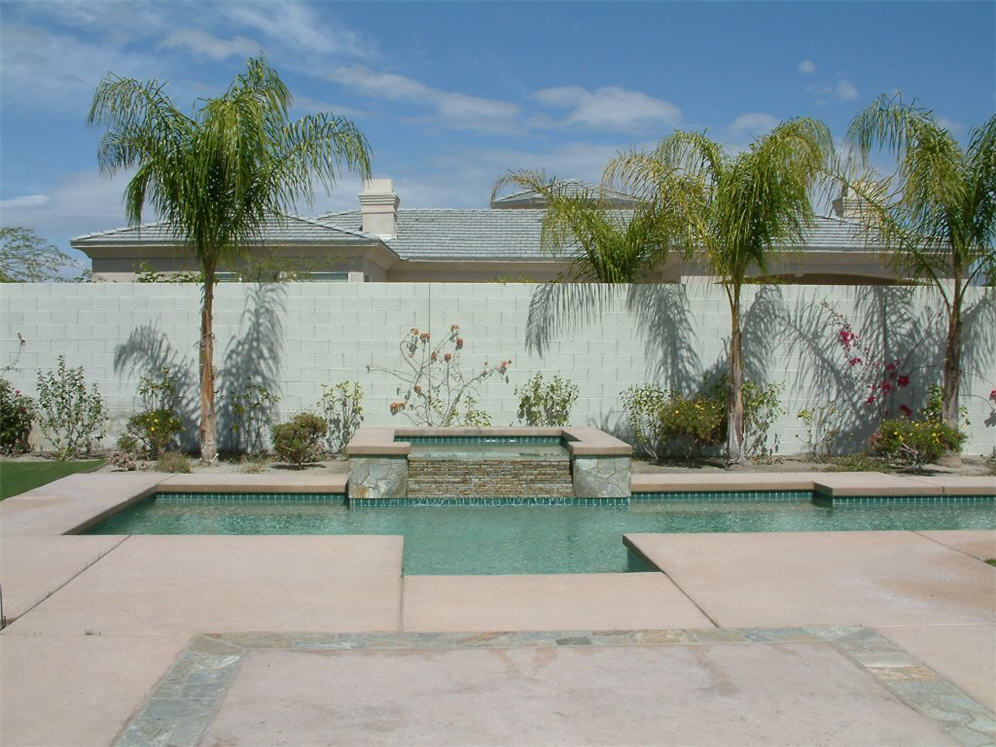 Palms and Pool