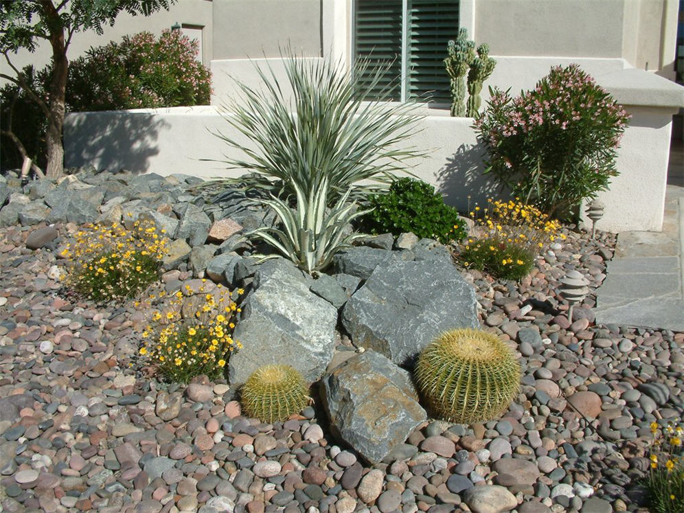 Sprouting Shrub Formation