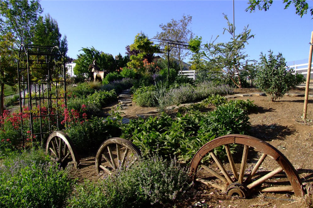 Wagon Wheel Garden